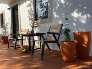 cadeiras de madeira e aço pintado